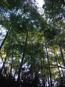 写真 2014-01-27 14 24 07