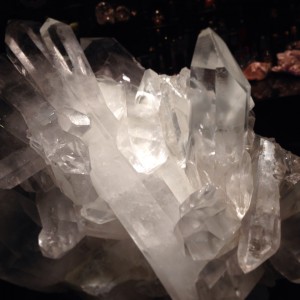 写真 2013-11-28 20 46 35