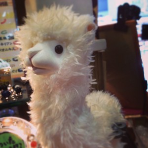 写真 2014-02-28 11 58 47