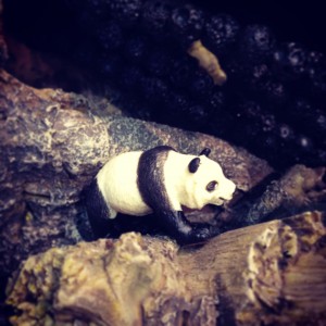 写真 2014-04-25 16 00 20