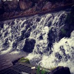 写真 2014-07-27 11 10 51