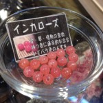 写真 2014-10-14 14 50 09