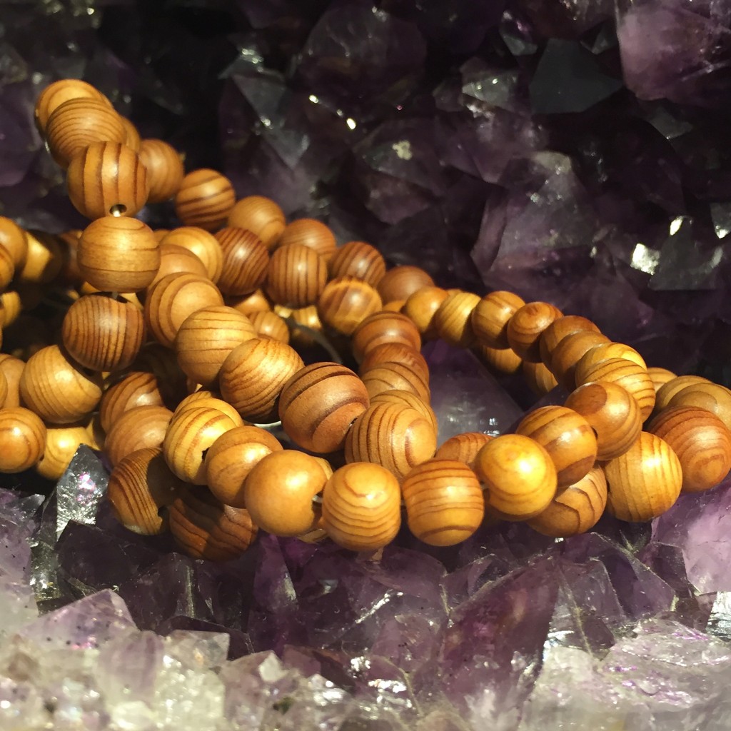 写真 2015-11-17 11 21 17