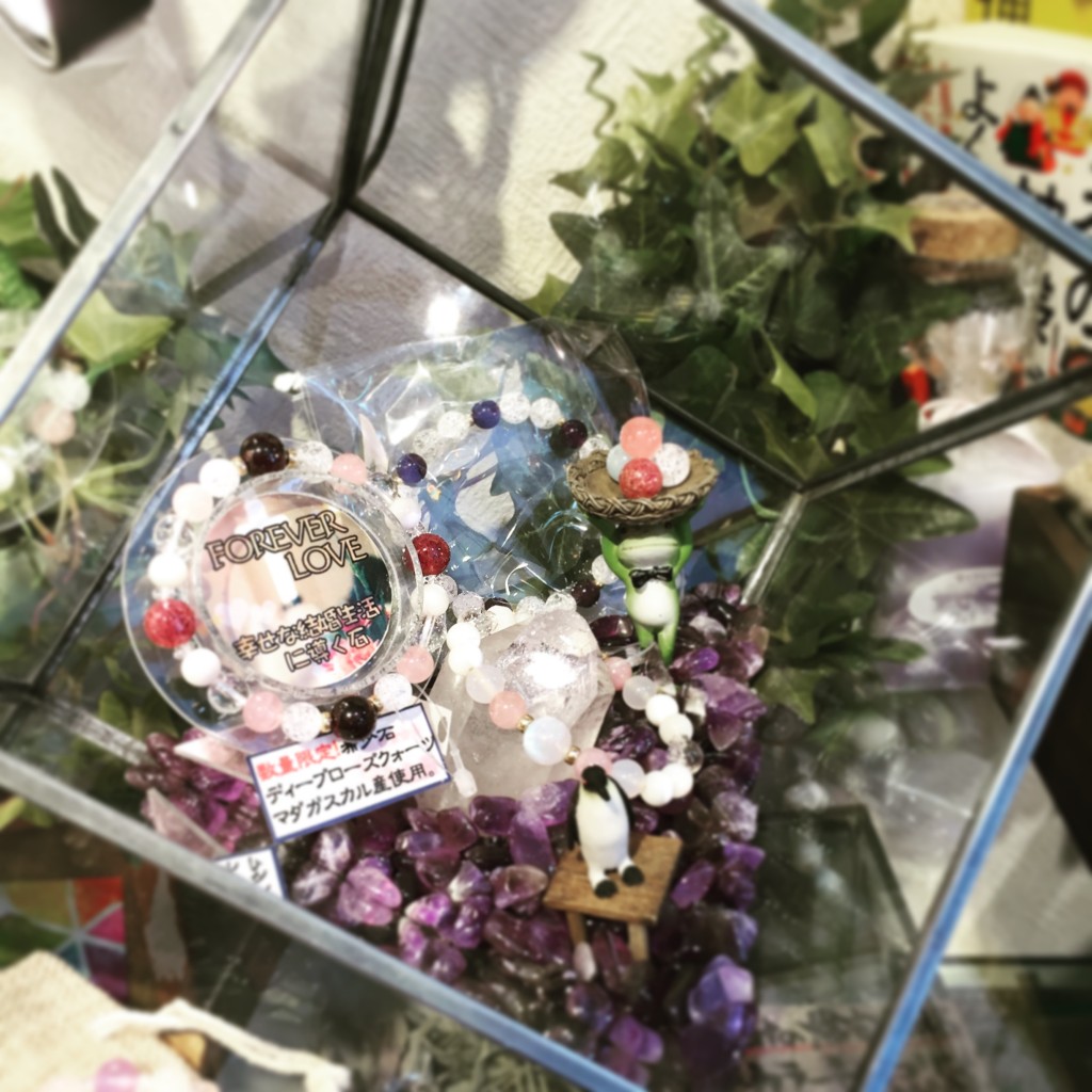 写真 2015-12-27 12 21 51