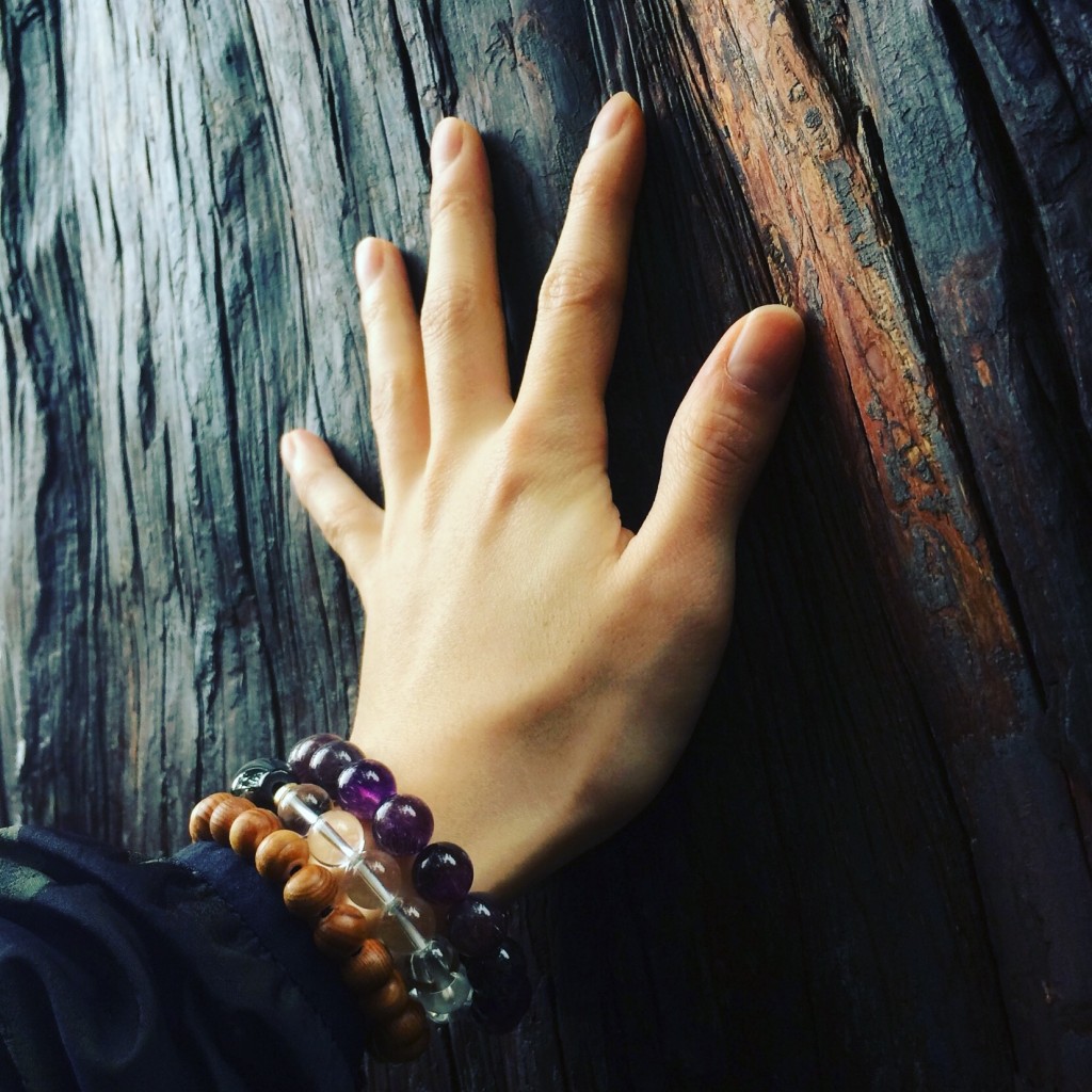 写真 2016-04-05 13 28 08