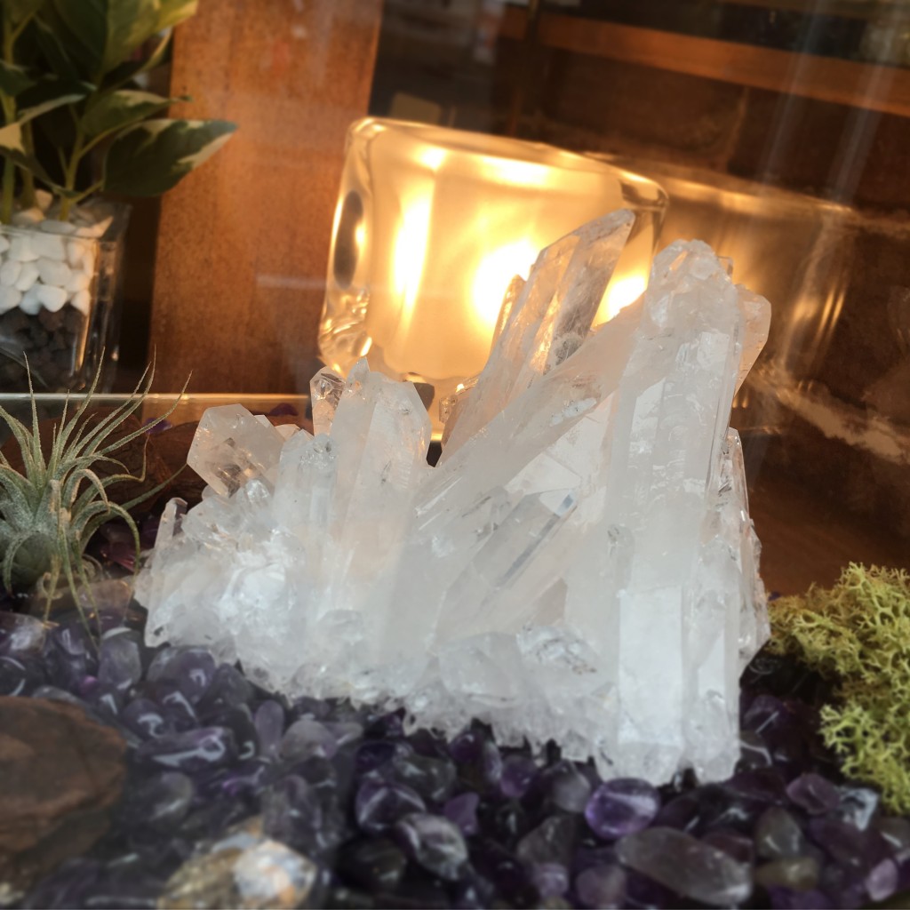 写真 2016-09-04 11 12 39