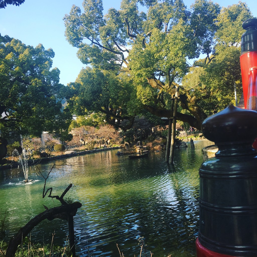 写真 2017-01-25 15 21 32