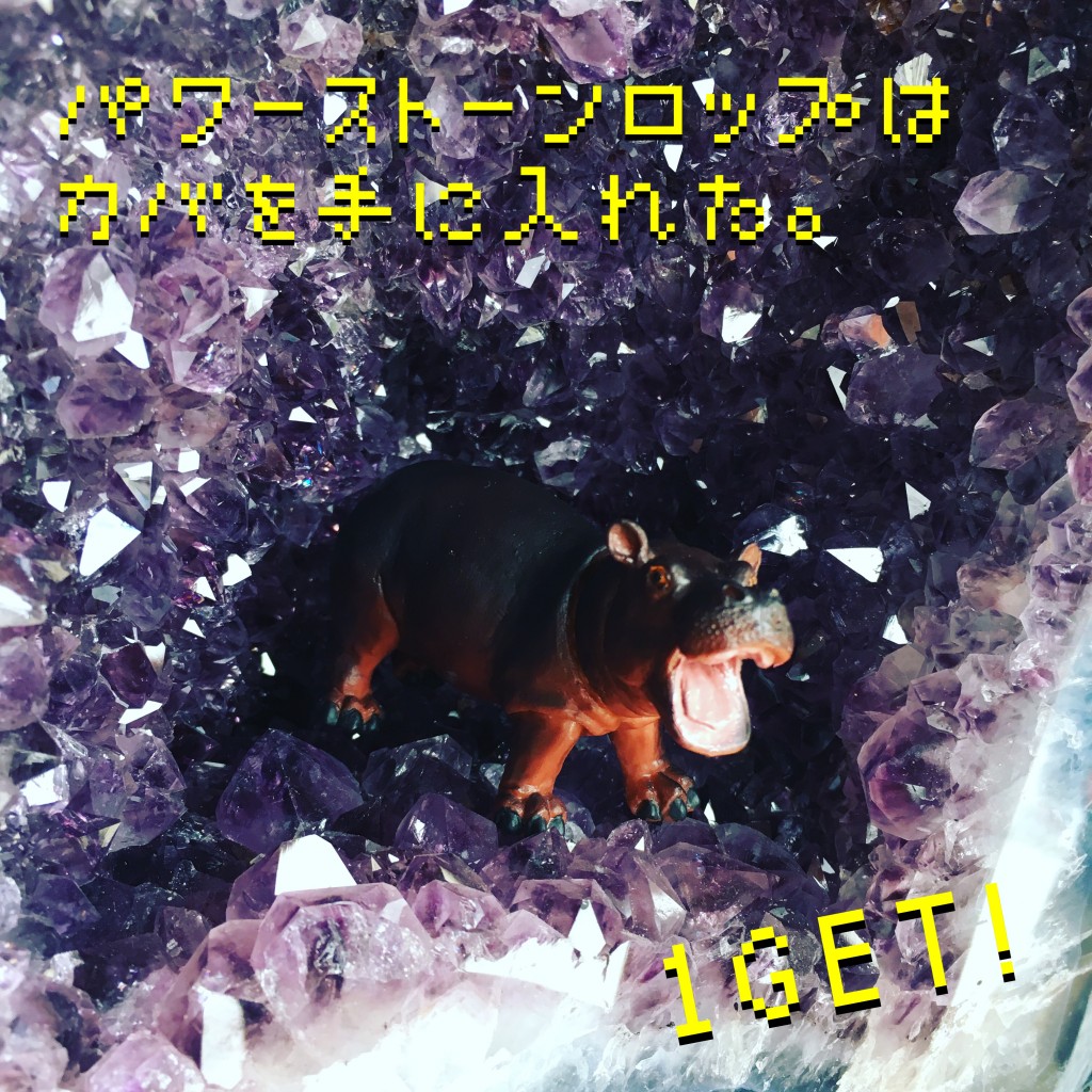 写真 2017-01-21 12 26 39